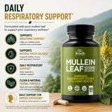 HerbaMe cápsula abierta mostrando contenido herbal y fácil ingestión