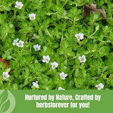 Herbsforever etiqueta del producto detalle de pureza y certificados