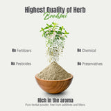 Herbsforever taza con infusión de Brahmi para consumo cotidiano