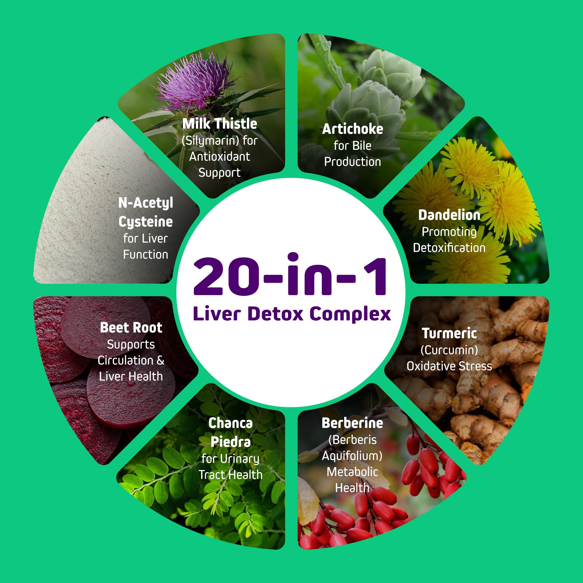 Herbtonics cápsulas veganas en primer plano, fácil de tragar y pura