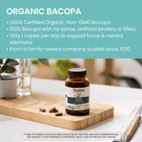 Himalaya polvo de Bacopa resaltando textura y pureza del ingrediente