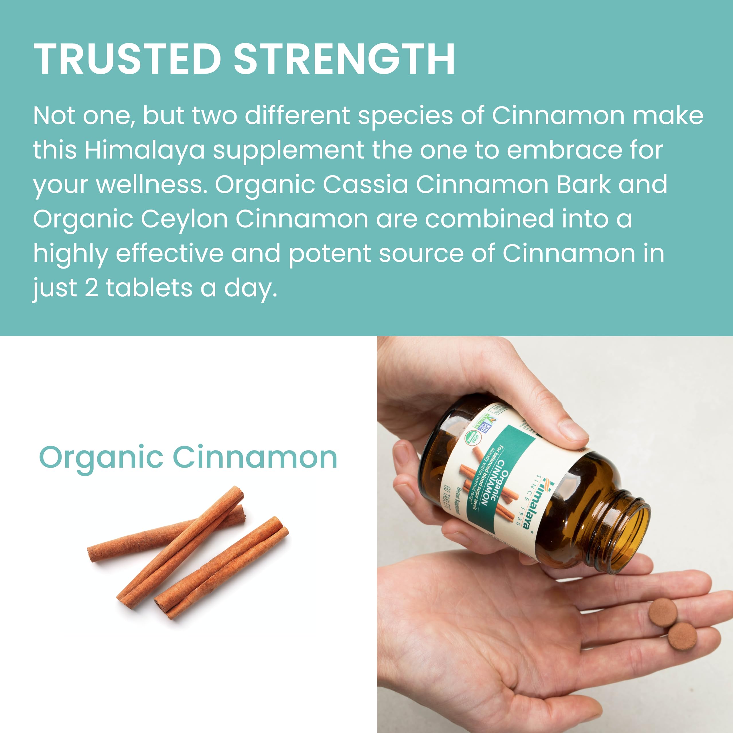 Himalaya canela en ramas y polvo que ilustra ingredientes naturales
