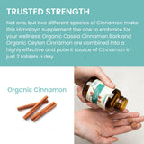 Himalaya canela en ramas y polvo que ilustra ingredientes naturales