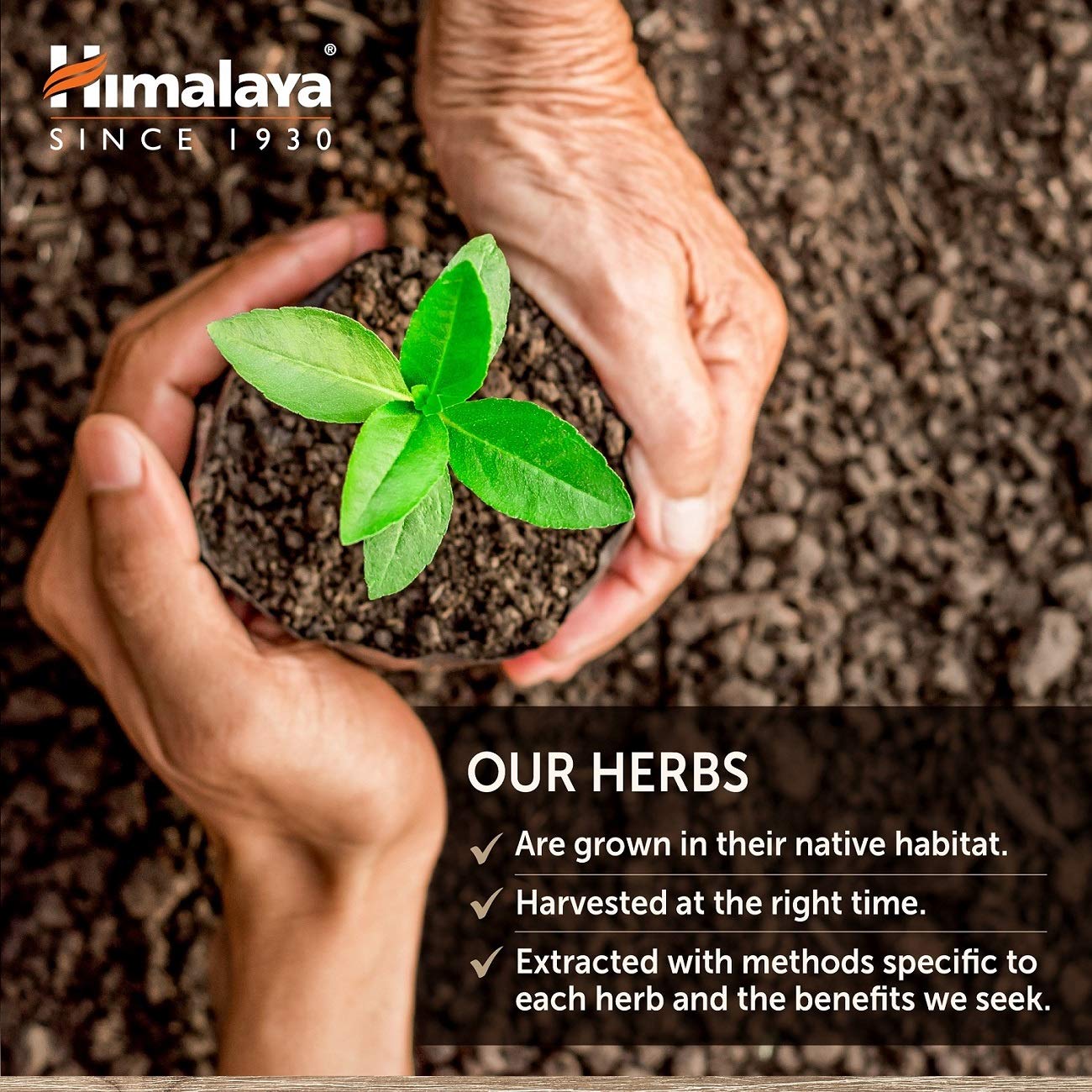Himalaya HeartCare cápsulas junto a regla para comparar tamaño y facilidad