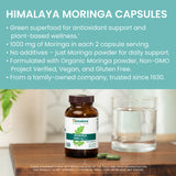 Himalaya polvo de moringa en detalle muestra pureza y textura orgánica