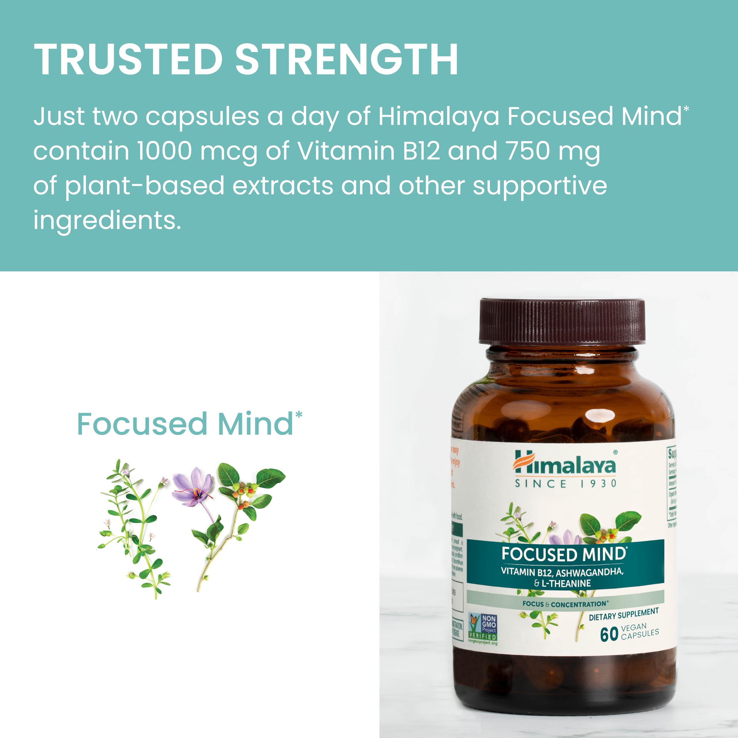 Himalaya Focused Mind etiqueta nutricional mostrando vitaminas B y dosificación segura