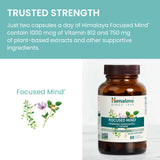 Himalaya Focused Mind etiqueta nutricional mostrando vitaminas B y dosificación segura