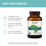 Himalaya hoja de Ginkgo Biloba como ingrediente natural visible