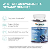 Himalaya etiqueta en primer plano con certificaciones orgánicas visibles