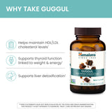 Himalaya resina de guggul en textura, destaca ingrediente ayurvédico puro
