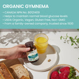 Himalaya hojas de Gymnema sylvestre, origen botánico y autenticidad