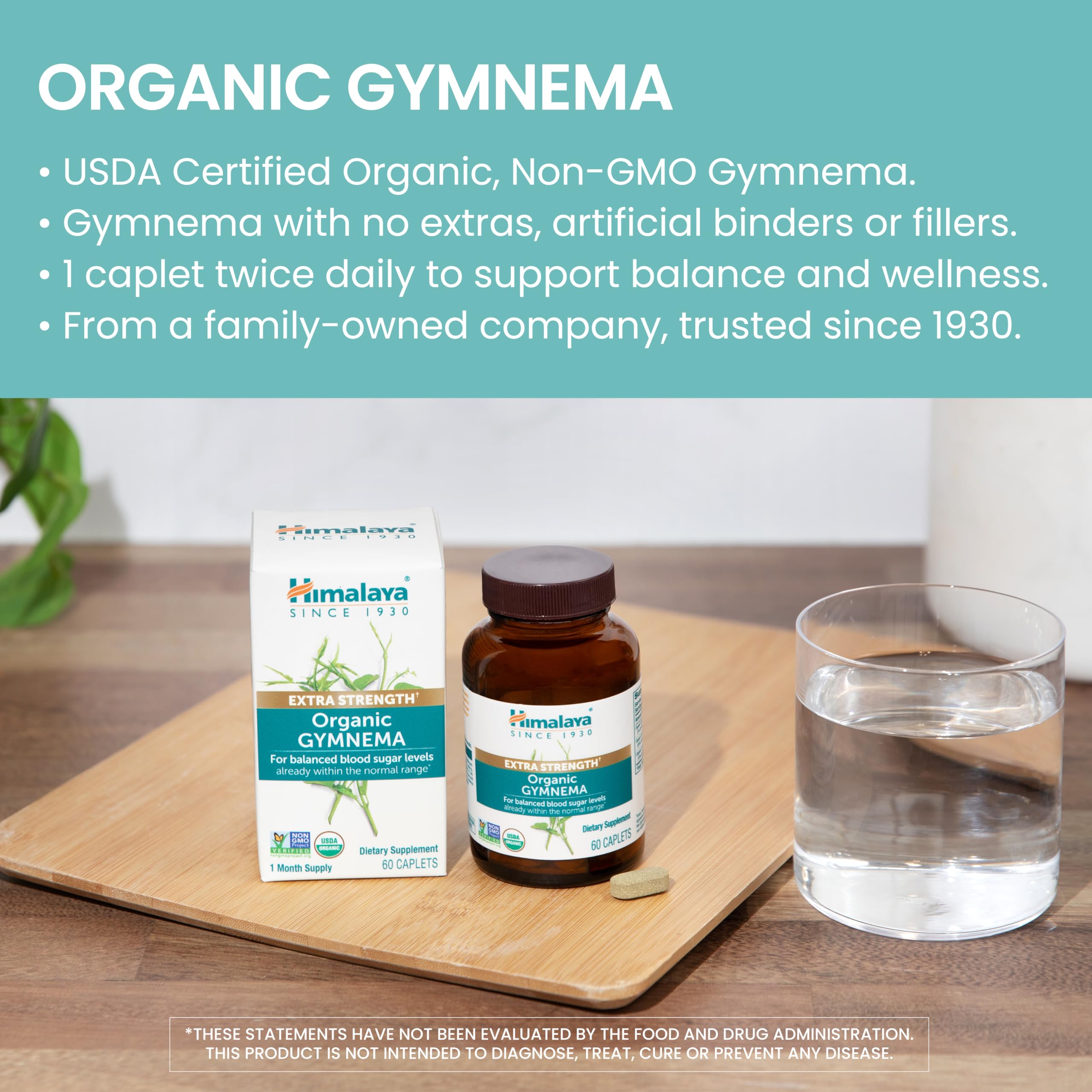 Himalaya polvo de Gymnema en primer plano, textura y pureza visibles
