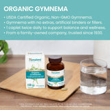 Himalaya polvo de Gymnema en primer plano, textura y pureza visibles