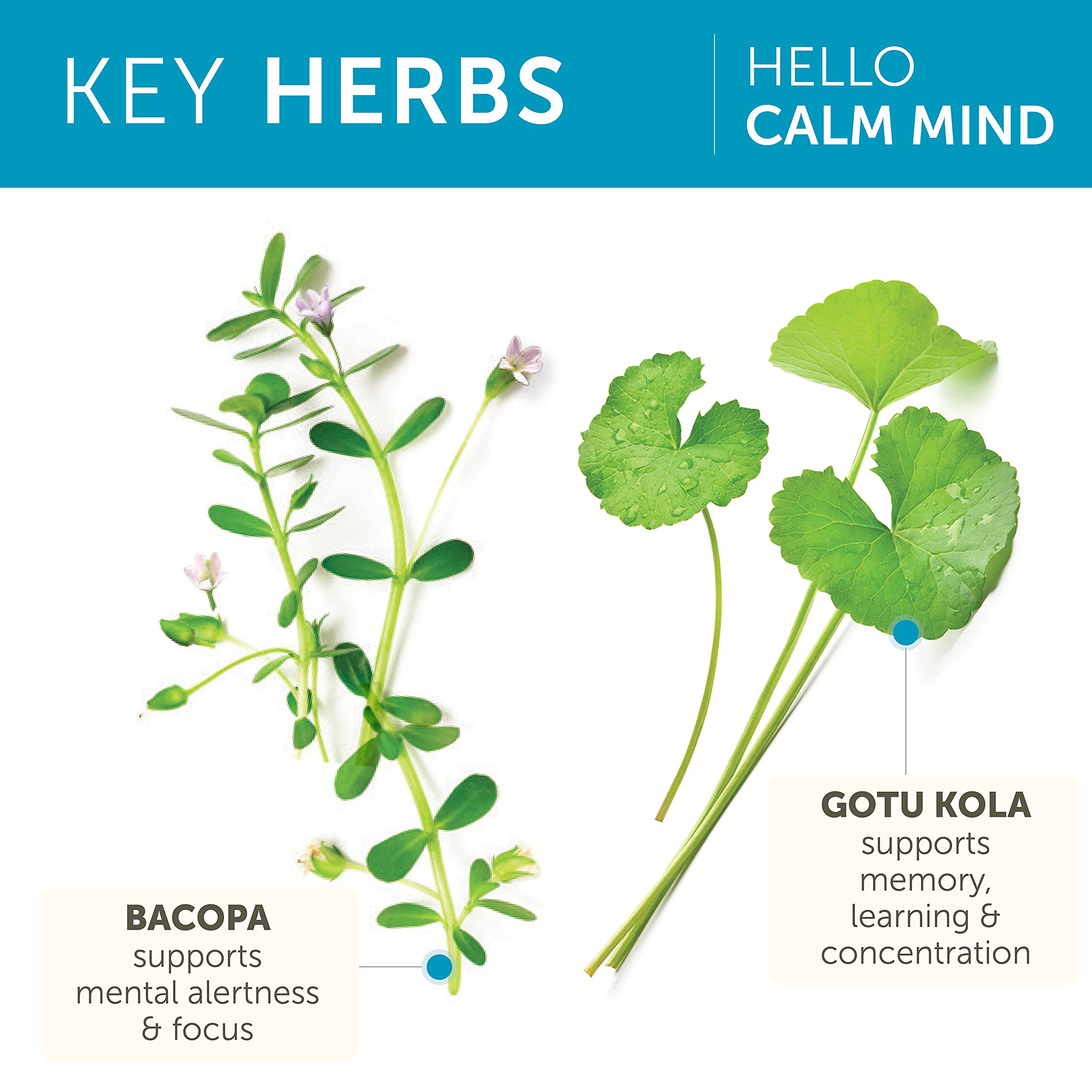 Himalaya producto junto a objetos cotidianos para escala, tamaño real claro
