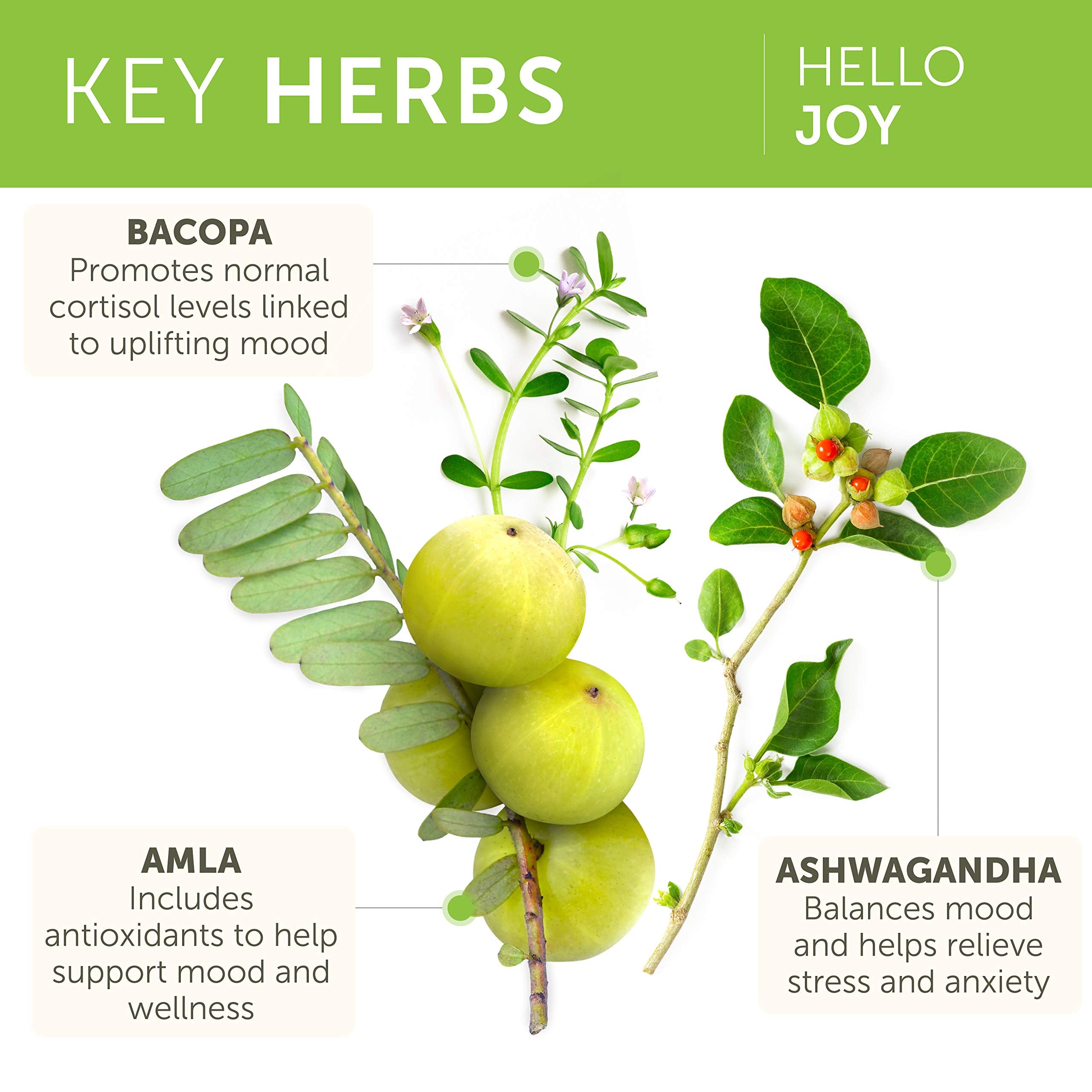 Himalaya Hello Joy ingredientes naturales: ashwagandha, amla, bacopa y tulsi expuestos