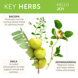 Himalaya Hello Joy ingredientes naturales: ashwagandha, amla, bacopa y tulsi expuestos