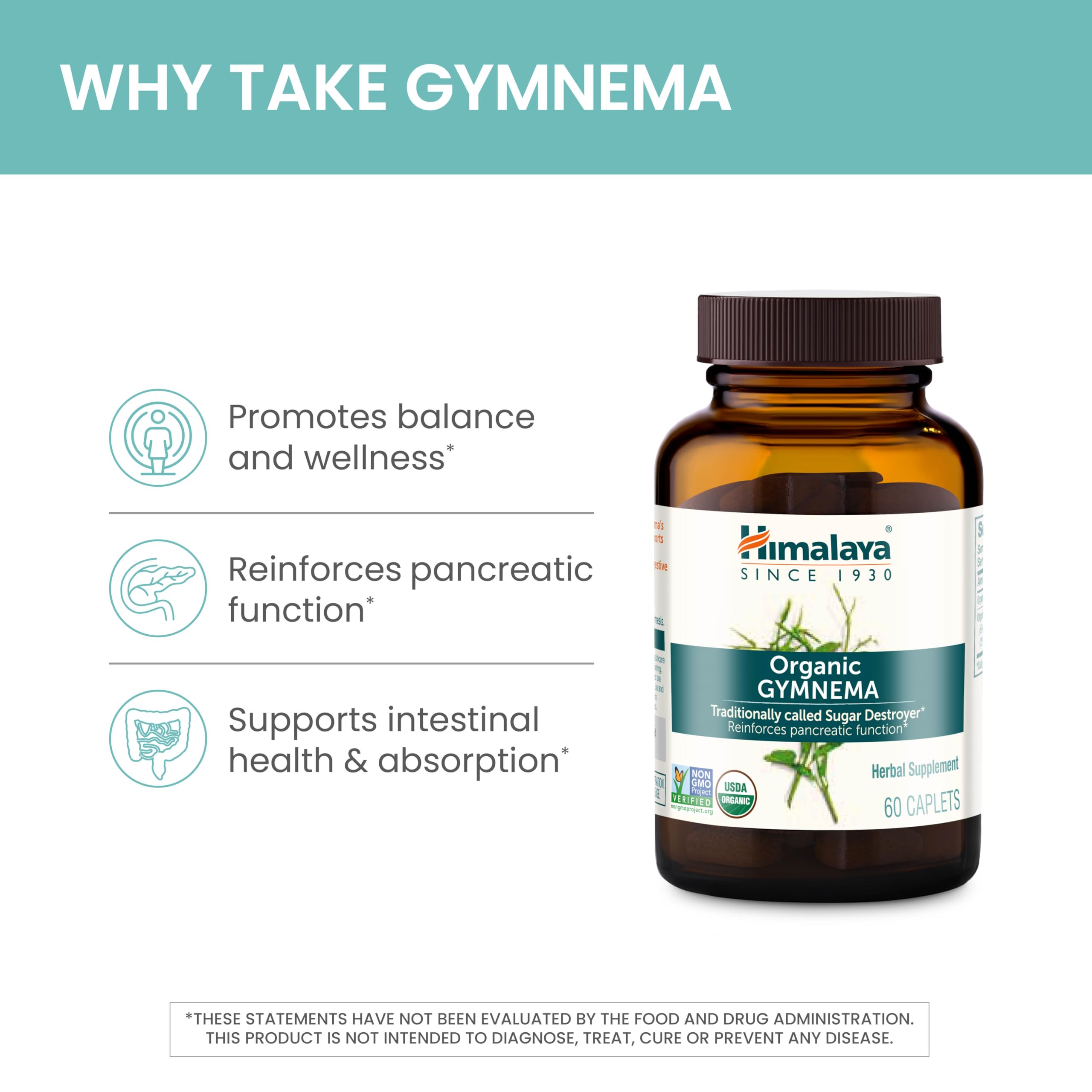 Himalaya hojas de Gymnema Sylvestre frescas como fuente del extracto