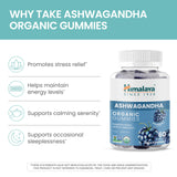 Ingredientes naturales Himalaya: jugo de zanahoria y arándano usados para color y sabor