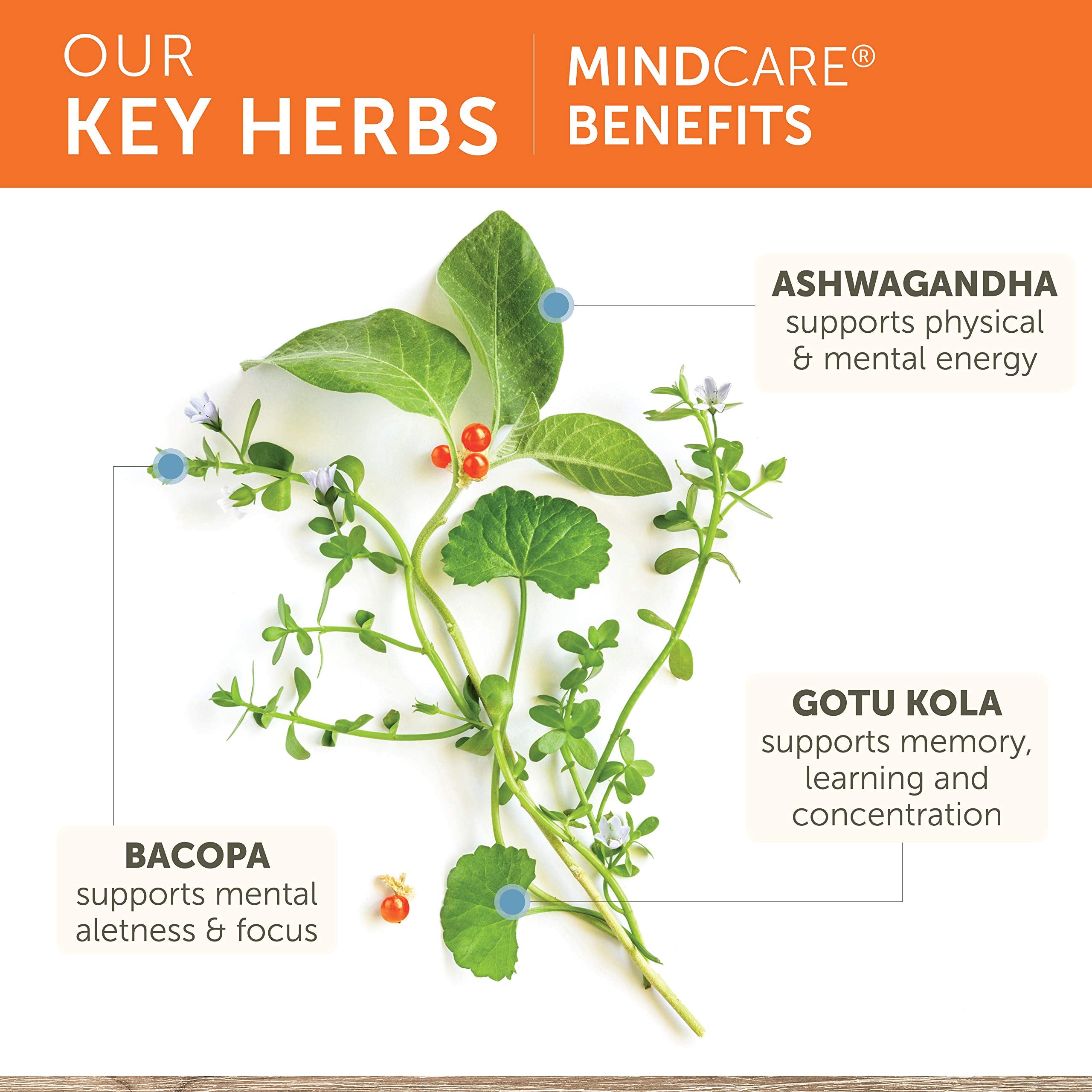 Himalaya MindCare ingredientes botánicos destacados para confianza natural