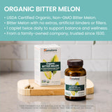 Himalaya polvo de melón amargo en primer plano demostrando pureza