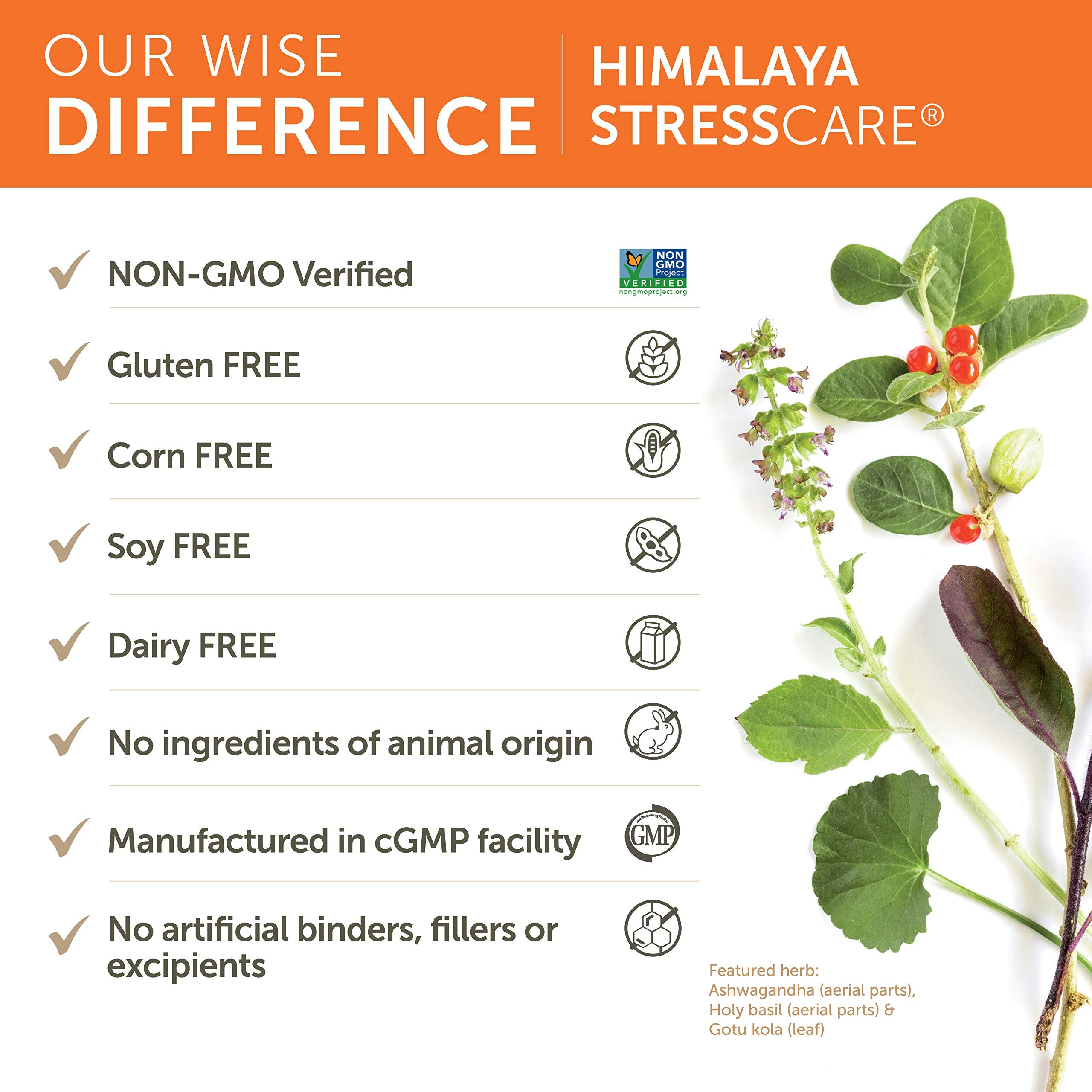 Himalaya StressCare escena de relajación indicando calma y equilibrio