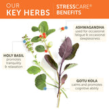 Himalaya StressCare ingredientes: ashwagandha, tulsi, gotu kola y amla