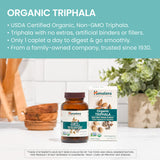 Himalaya textura del polvo Triphala cerca, calidad orgánica visible