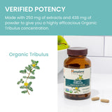 Himalaya primer plano de planta Tribulus resaltando origen natural