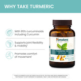Himalaya Turmeric 95 polvo de cúrcuma en primer plano enfatizando pureza