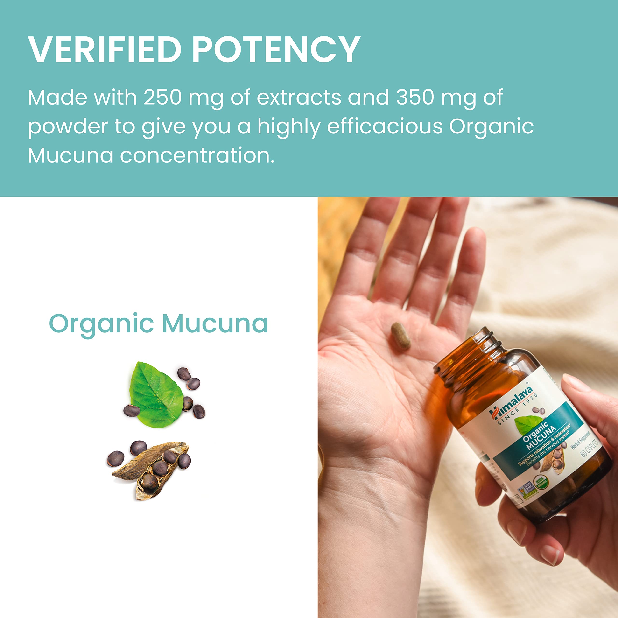 Himalaya ingredientes vegetales orgánicos en un entorno natural