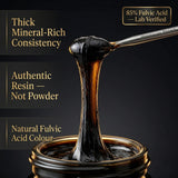 Himalayan Shilajit comparación de tamaño 30 g portable y concentrado