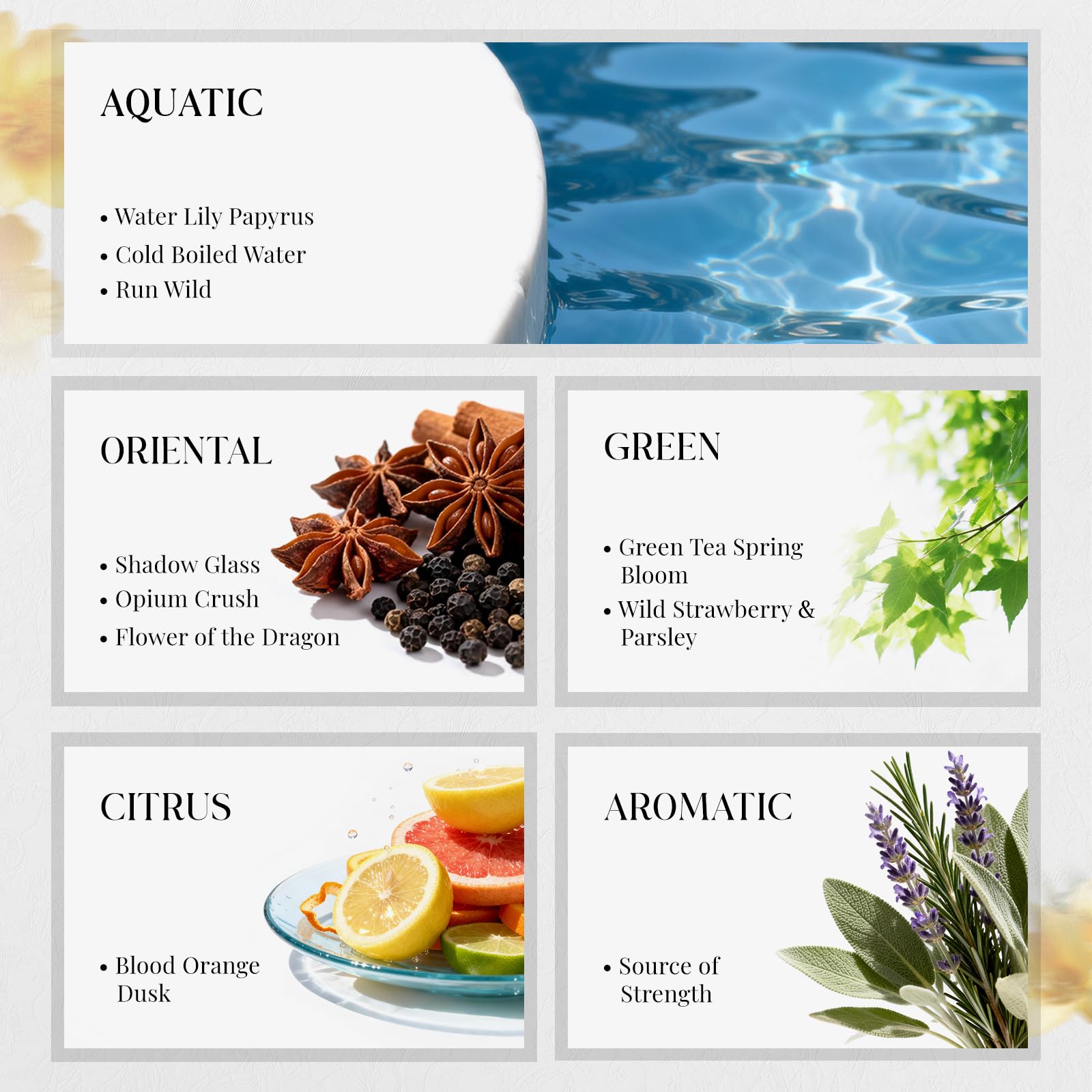 HIQILI estuche abierto tipo bookshelf listo para regalar y descubrir aromas