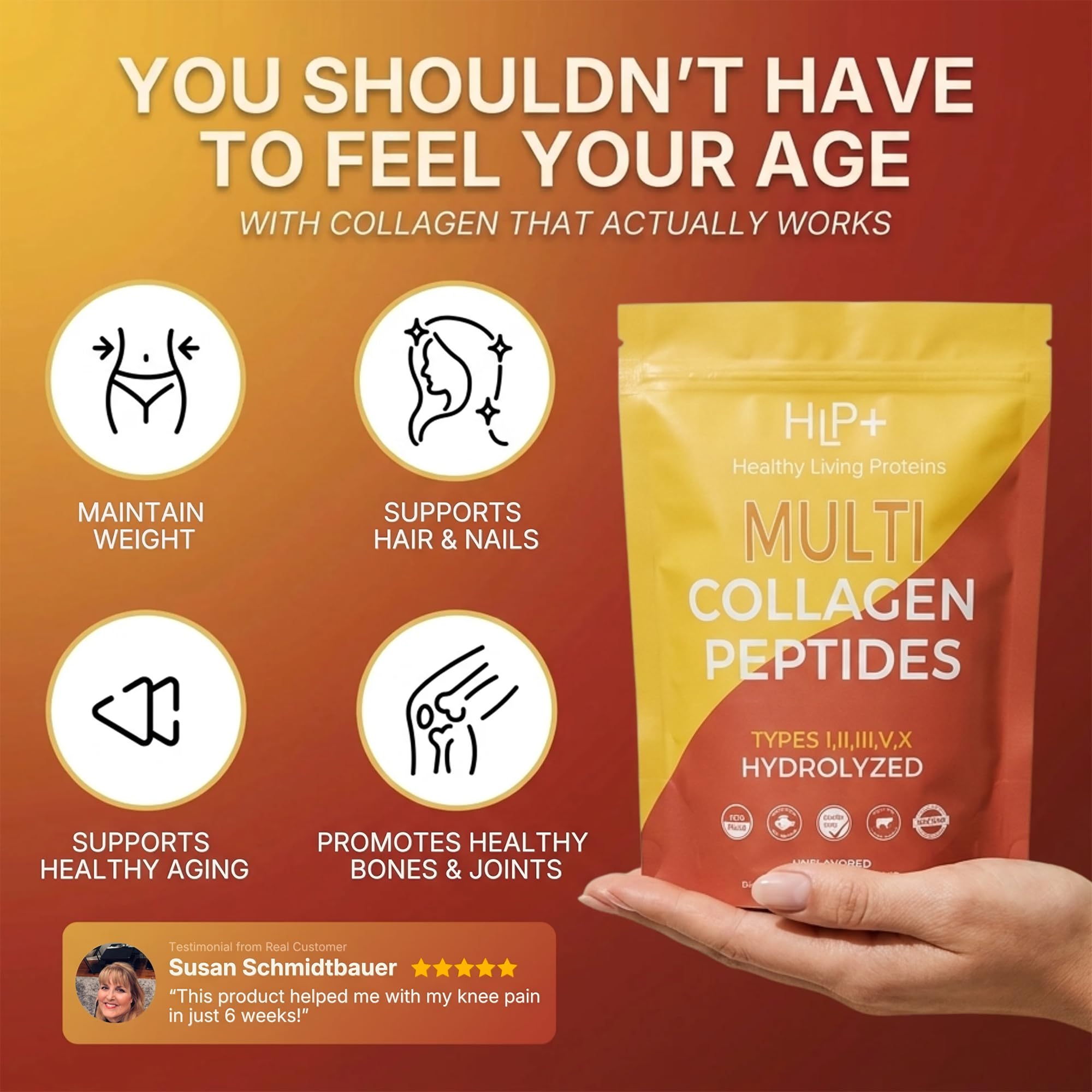 HLP batido post-entrenamiento con Multi Collagen, aporte proteico conveniente