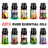 HLS difusor acompañado de 10 aceites esenciales incluidos en kit