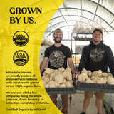 Hodgins Harvest extracto oscuro y viscoso en primer plano, que indica alta concentración
