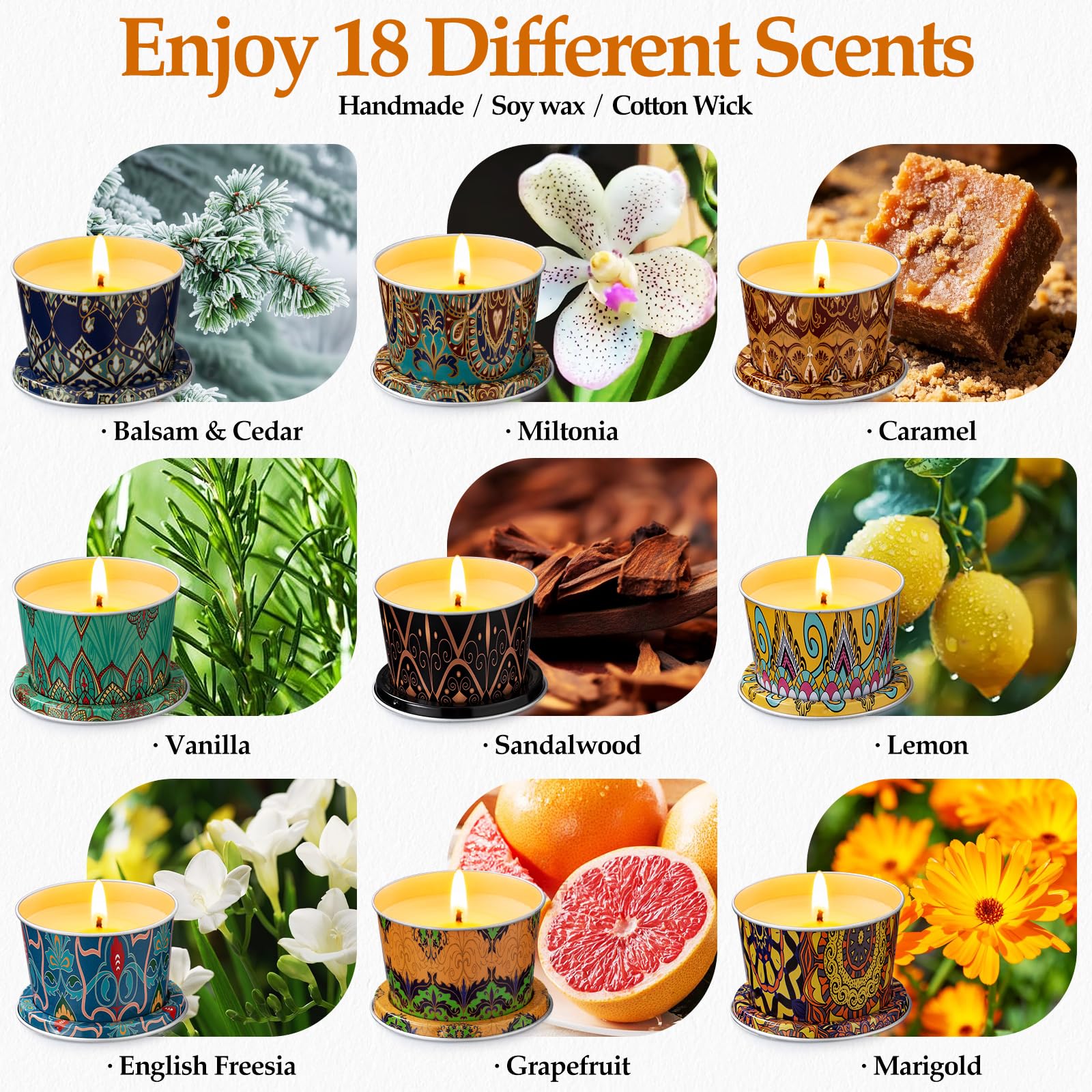 HOFOGOTOWIN disposición de las 18 fragancias para comparar aromas y opciones