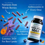 Holistic Health Labs frasco Vision Alive Max en mano para percepción de dosis diaria