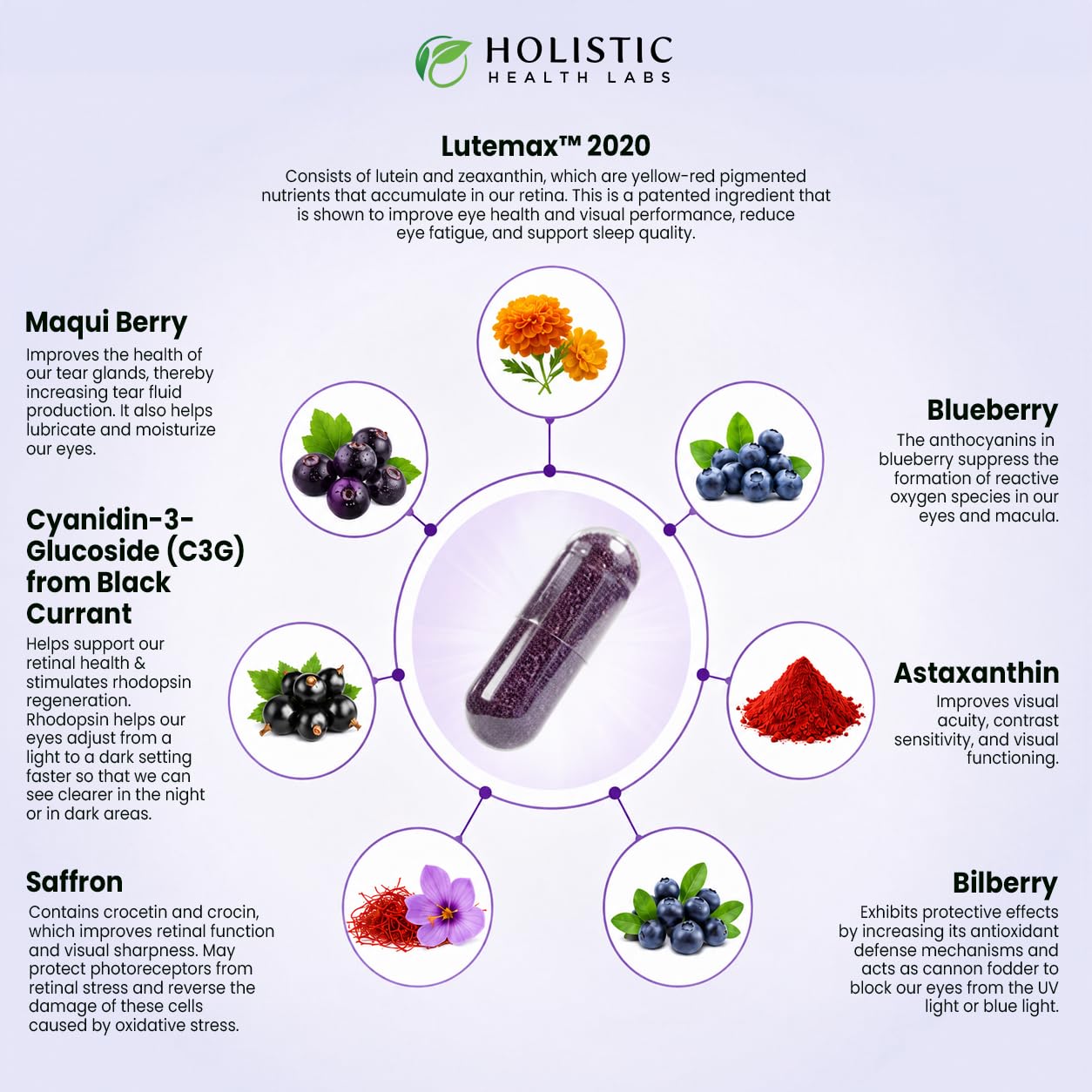 Holistic Health Labs etiqueta con lista de ingredientes y beneficios claros