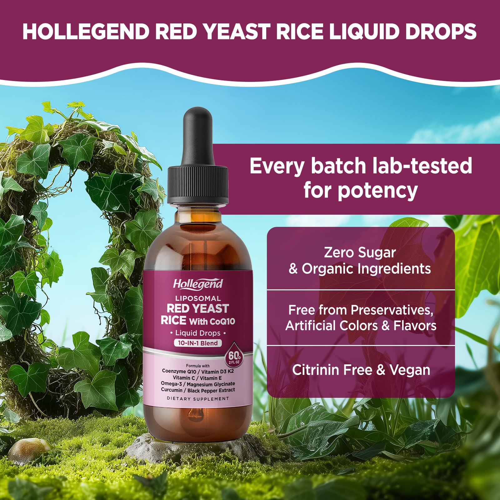 HOLLEGEND etiqueta con información nutricional clara y orientativa