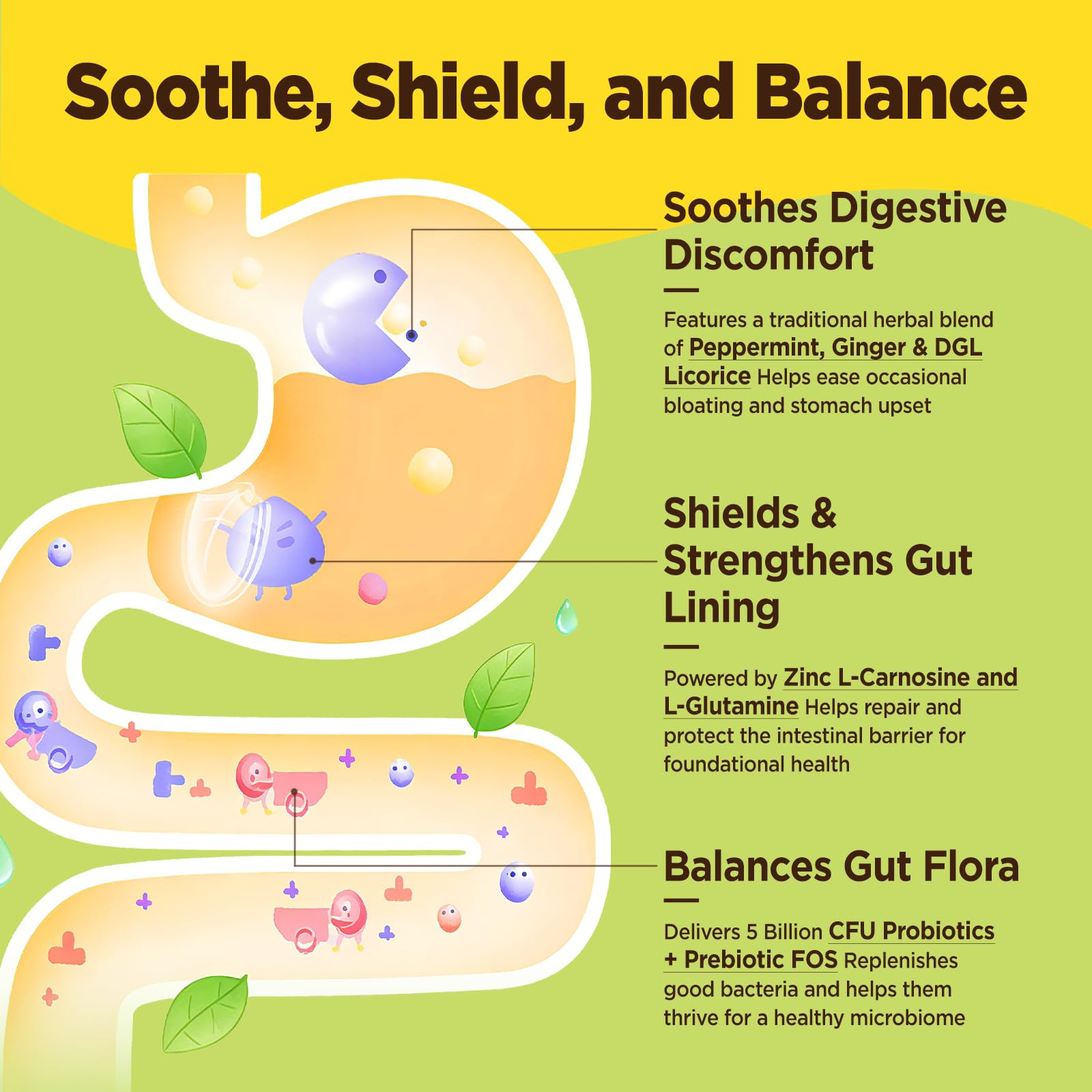HOLLEGEND etiqueta frontal con lista de ingredientes y beneficios digestivos visibles