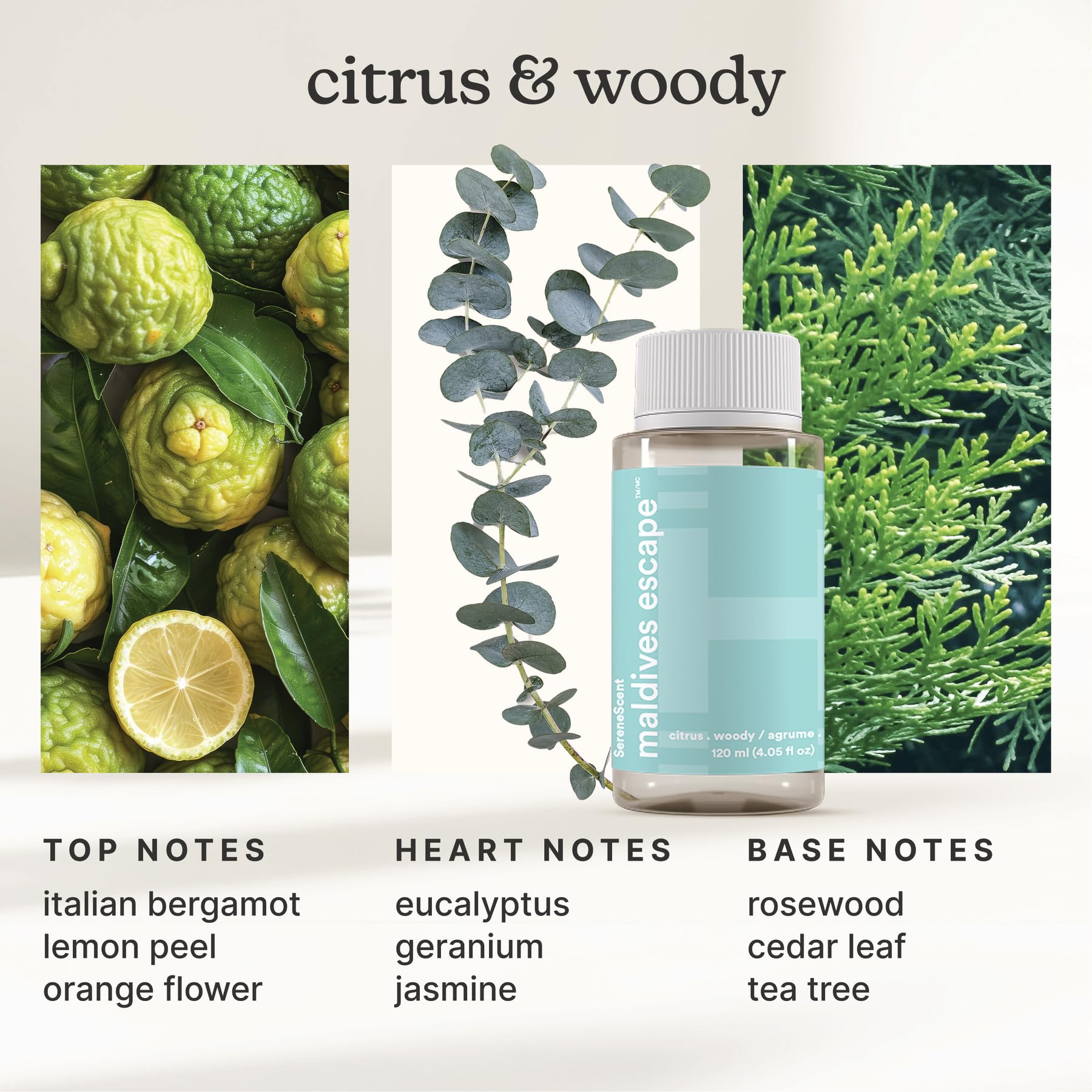 Homedics SereneScent botellas 120 ml Maldives Escape y Aspen Fir para aromas prolongados