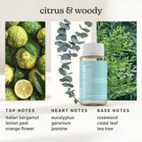 Homedics SereneScent botellas 120 ml Maldives Escape y Aspen Fir para aromas prolongados