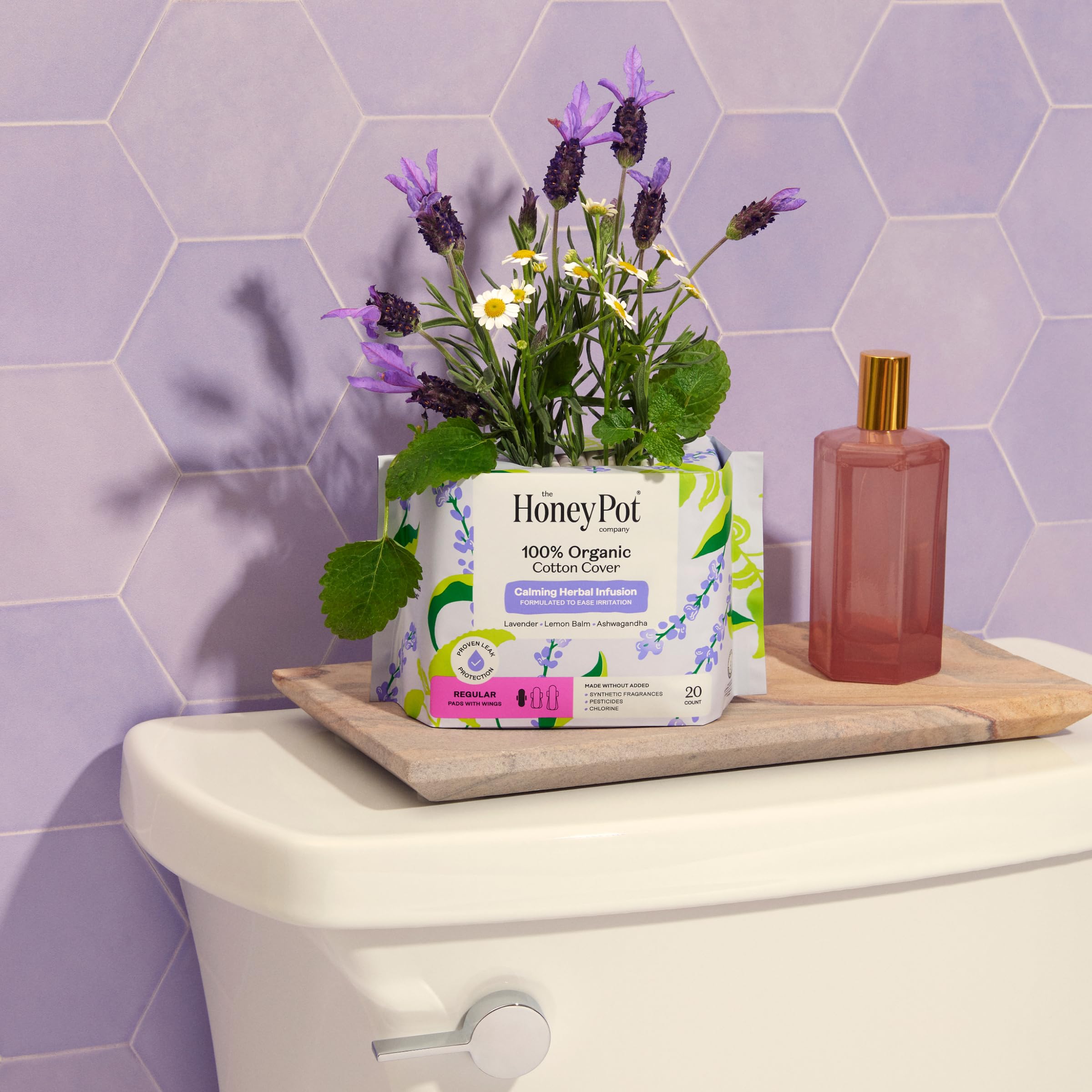 Honey Pot comparación de tamaño en mano para referencia práctica