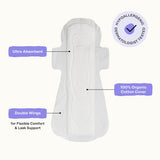 Honey Pot comparativa de tamaño con mano para referencia y ajuste