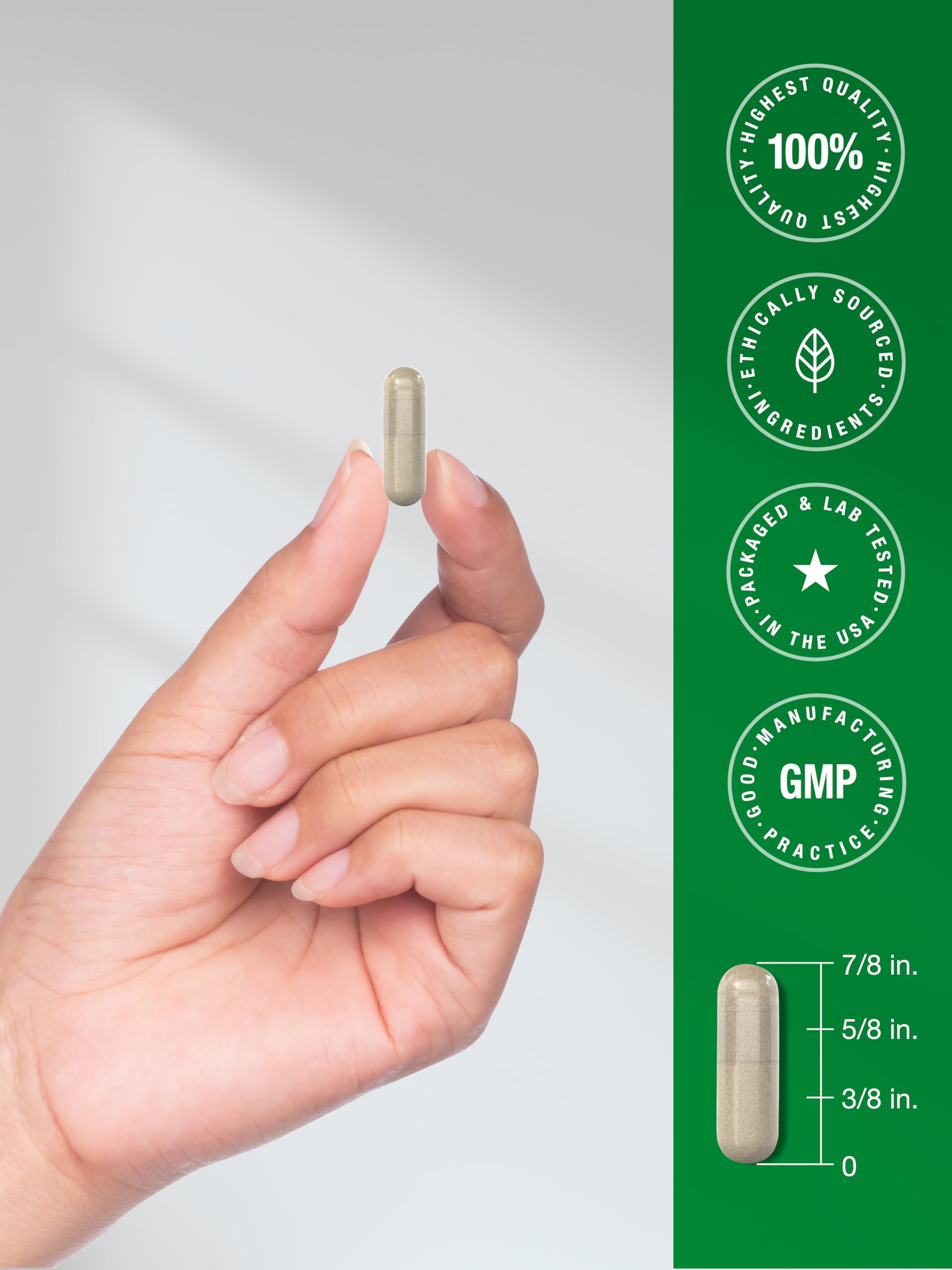 Horbäach cápsula junto a moneda para comparar tamaño y dosificación