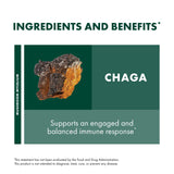 Host Defense polvo de Chaga en batido con frutas mostrando fácil incorporación en recetas