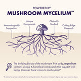Host Defense ingredientes Lion's Mane Reishi y Cordyceps visibles