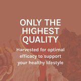 Host Defense frasco en cocina saludable, integra al estilo de vida diario