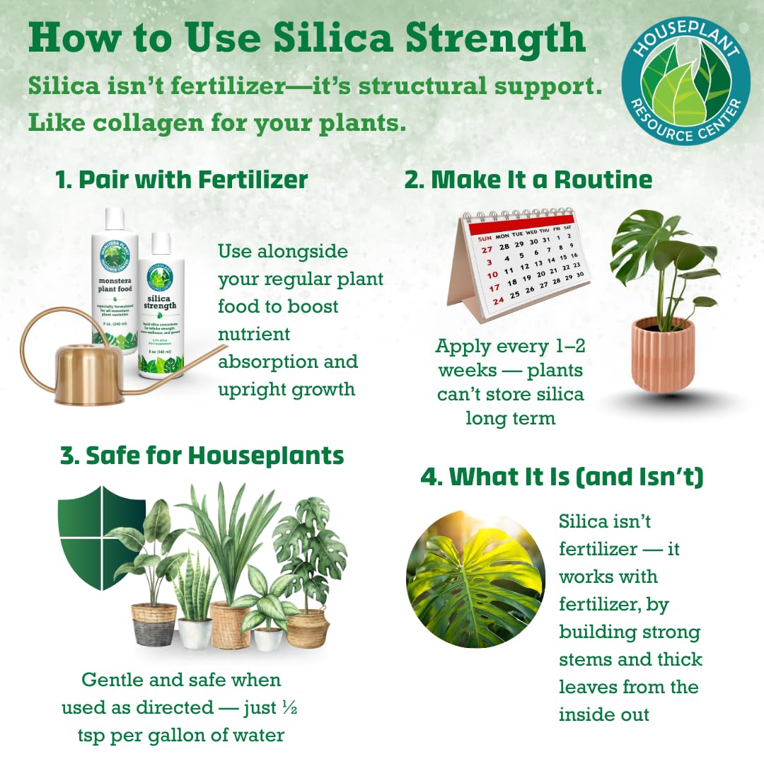 HOUSEPLANT RESOURCE CENTER hoja variegada saludable tras uso del suplemento