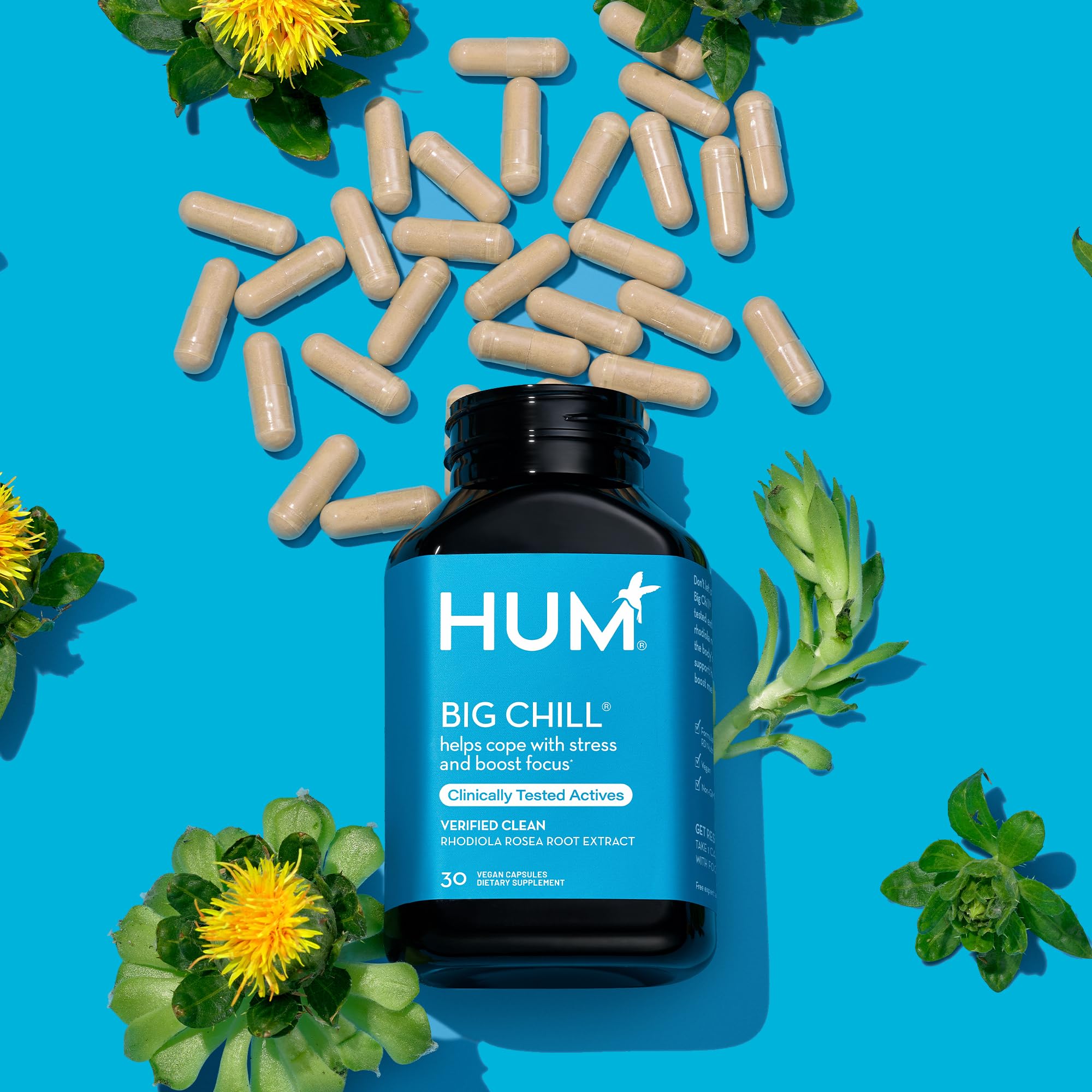 HUM Big Chill comparación de tamaño junto a un teléfono para escala visual